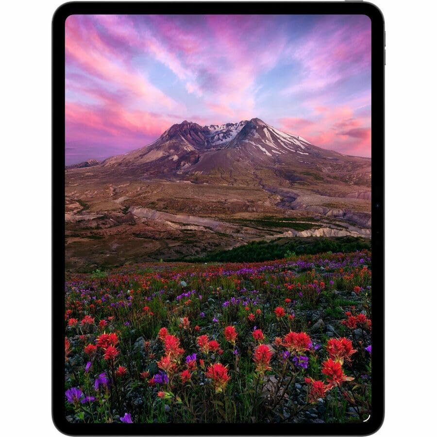 Apple iPad Pro 11-inch (M5): Ultra Retina XDR Display, 256GB, Landscape 12MP Front Camera/12MP Back Camera, LiDAR Scanner, Wi-Fi 7 with Apple N1, Face ID, All-Day Battery Life — Space Black